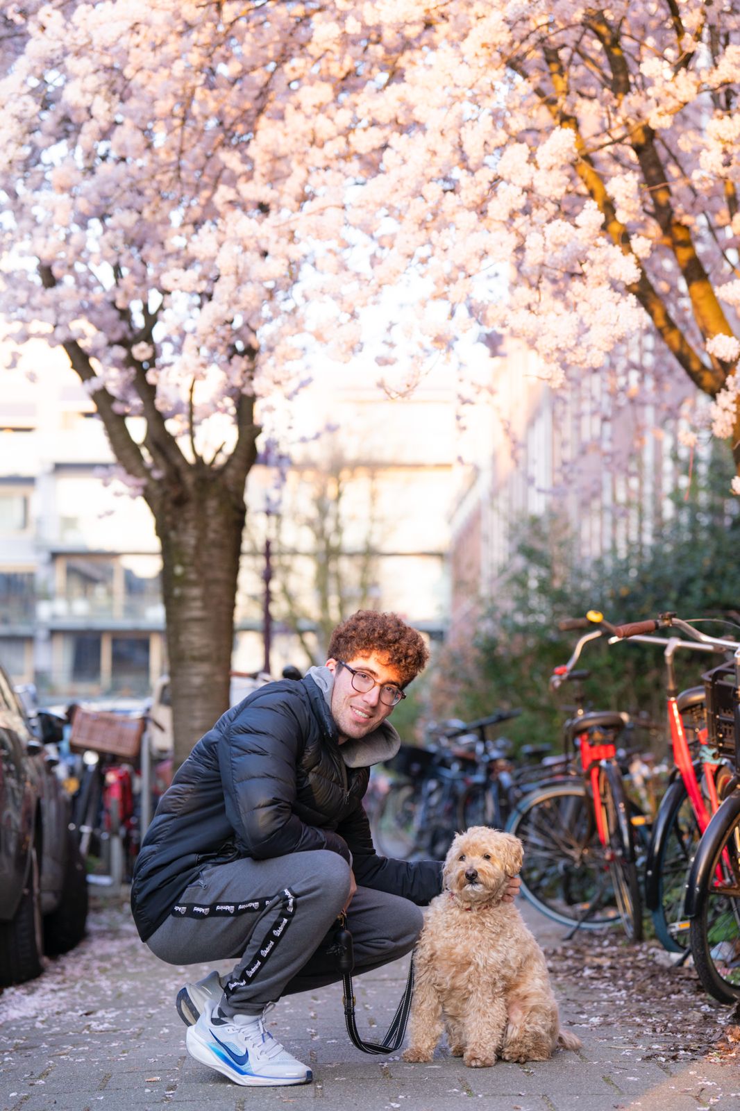 Panos crouching beside Finley the labradoodle under cherry blossom in Pangrati, Athens